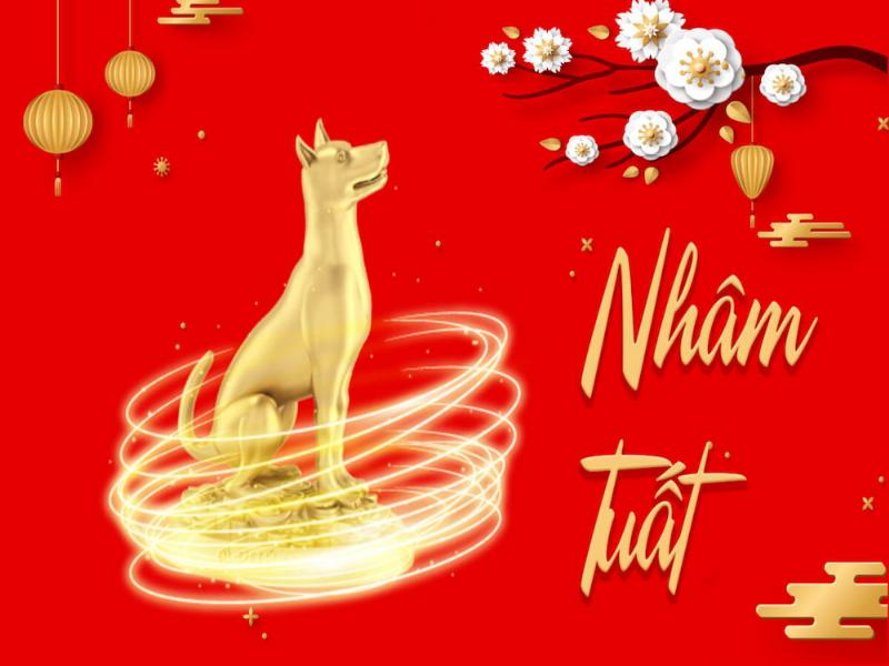 Bảng màu sắc hoặc hình ảnh minh họa các màu sắc tương sinh/tương khắc với Mệnh Thủy, làm rõ tuổi 1982 là tuổi con gì hợp màu gì
